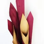 호텔 Rothkamp 3*