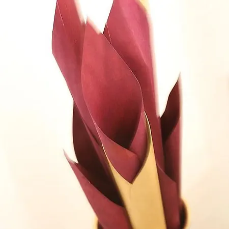 Rothkamp 3* 프레첸